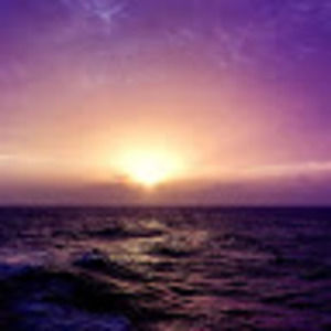 Meet your Posher, Sheyla